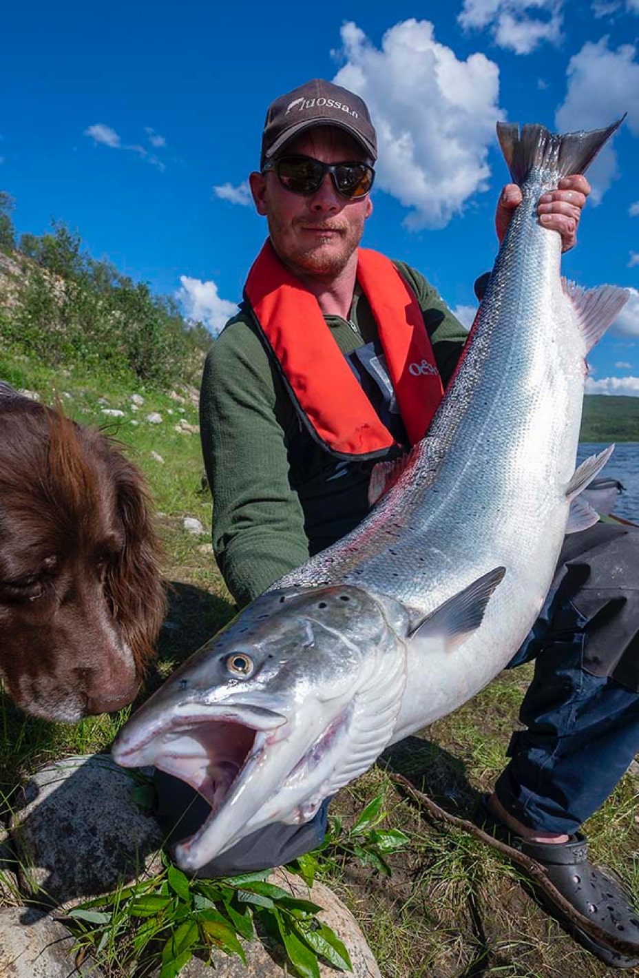 Sami Kämäräinen ja Tiura vaappuun iskenyt kymppikiloinen lohi.