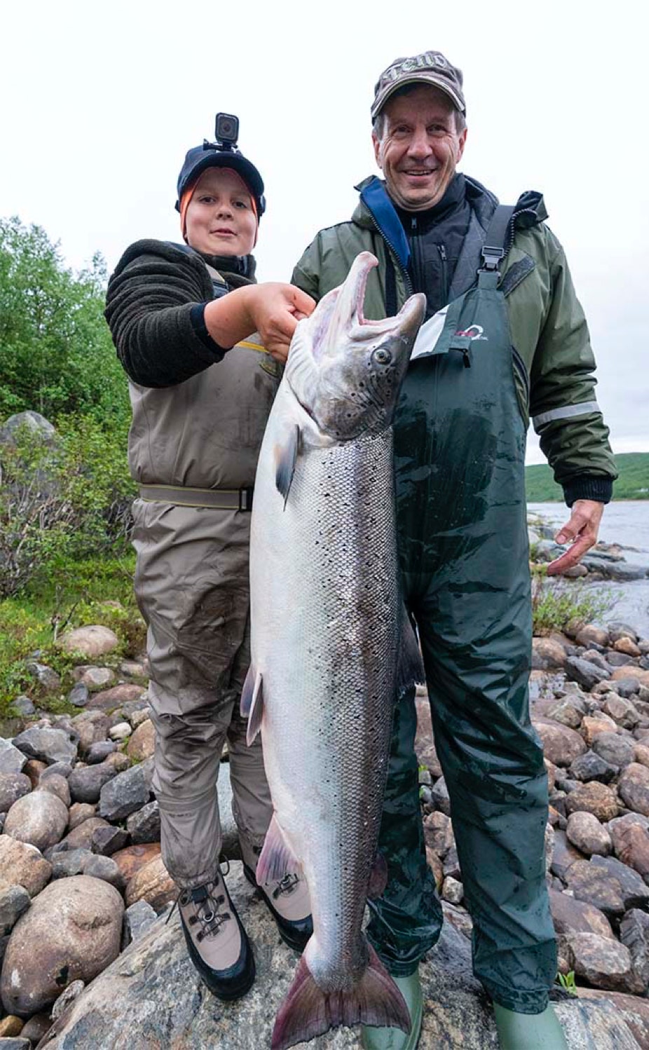 Iso lohi Joonas-vaapulla, Ronkaisen väri