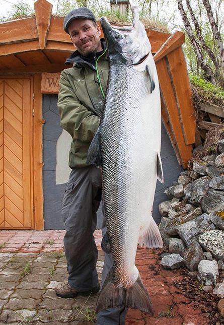 Janne Hapakari sai Tiuran Päivänsäde -värillä elämänsä lohen Tenosta