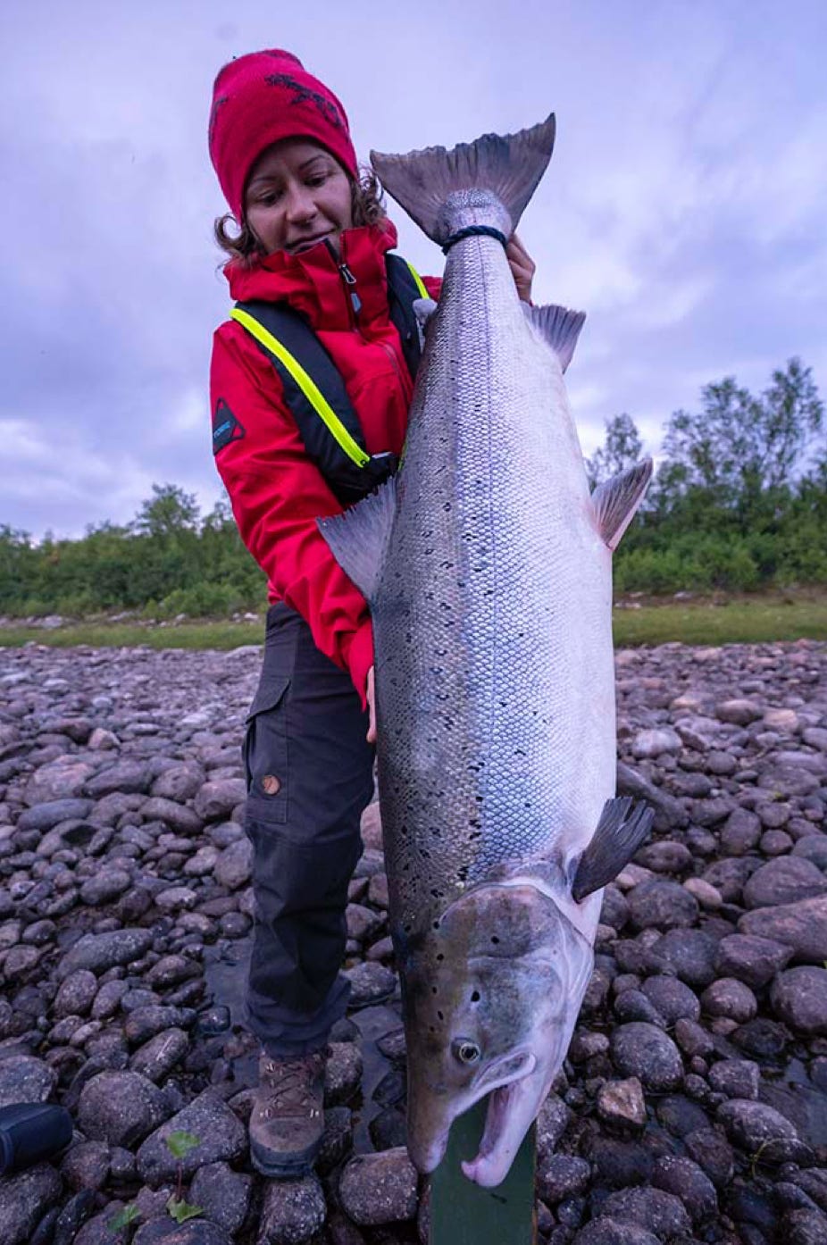 Henna Riekkoniemi ja 15 kg lohi Tenosta, Tero Ronkainen, Teno, Utsjoki