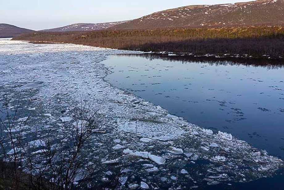 Tenojoen jään lähtö on ainutlaatuinen tapahtuma